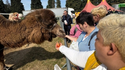 Beneficiarii Centrului „Pinochio” din Cărbunari au avut parte de momente deosebite la Zoo Park Baia Mare