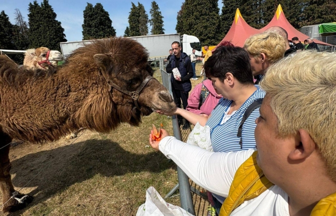 Beneficiarii Centrului „Pinochio” din Cărbunari au avut parte de momente deosebite la Zoo Park Baia Mare
