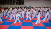 Ziua Porților Deschise la ACS Dragonul Baia Mare: pasionații de arte marțiale sunt invitați să descopere sportul Taekwon-Do ITF, în luna aprilie