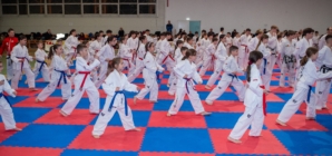 Ziua Porților Deschise la ACS Dragonul Baia Mare: pasionații de arte marțiale sunt invitați să descopere sportul Taekwon-Do ITF, în luna aprilie