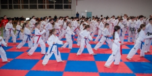 Ziua Porților Deschise la ACS Dragonul Baia Mare: pasionații de arte marțiale sunt invitați să descopere sportul Taekwon-Do ITF, în luna aprilie