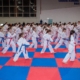 Ziua Porților Deschise la ACS Dragonul Baia Mare: pasionații de arte marțiale sunt invitați să descopere sportul Taekwon-Do ITF, în luna aprilie