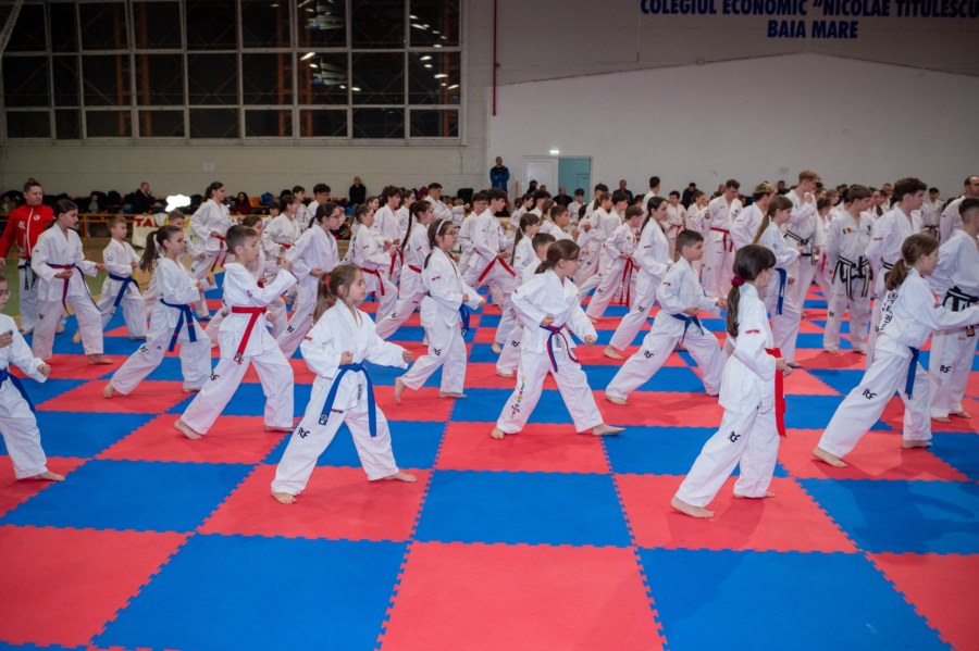 Ziua Porților Deschise la ACS Dragonul Baia Mare: pasionații de arte marțiale sunt invitați să descopere sportul Taekwon-Do ITF, în luna aprilie