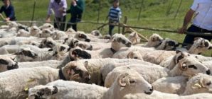 În Petrova va avea loc o nouă ediție a evenimentului „Ruptul Sterpelor”