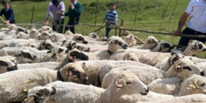 În Petrova va avea loc o nouă ediție a evenimentului „Ruptul Sterpelor”