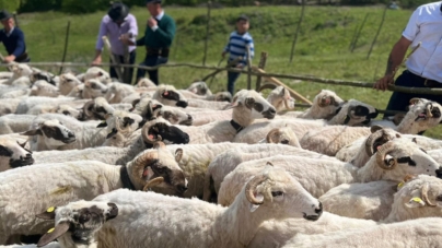 În Petrova va avea loc o nouă ediție a evenimentului „Ruptul Sterpelor”