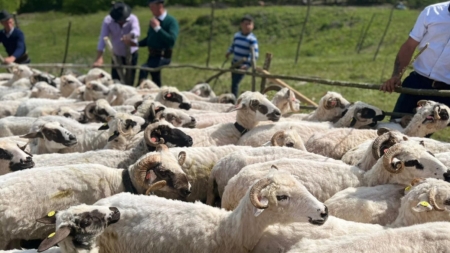 În Petrova va avea loc o nouă ediție a evenimentului „Ruptul Sterpelor”