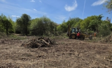 Tăuții Măgherăuș: Au început lucrările pentru amenajarea spațiului verde din zona Lac Hoșteze