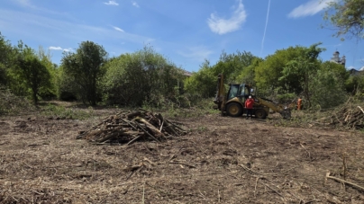 Tăuții Măgherăuș: Au început lucrările pentru amenajarea spațiului verde din zona Lac Hoșteze