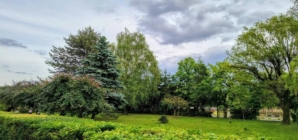 Prognoza meteo Maramureș, marți 19 mai 2026