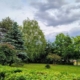 Prognoza meteo Maramureș, marți 19 mai 2026