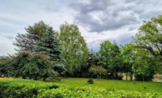 Prognoza meteo Maramureș, marți 19 mai 2026