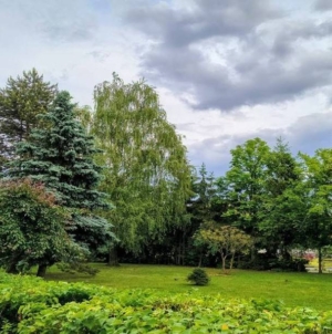 Prognoza meteo Maramureș, marți 19 mai 2026