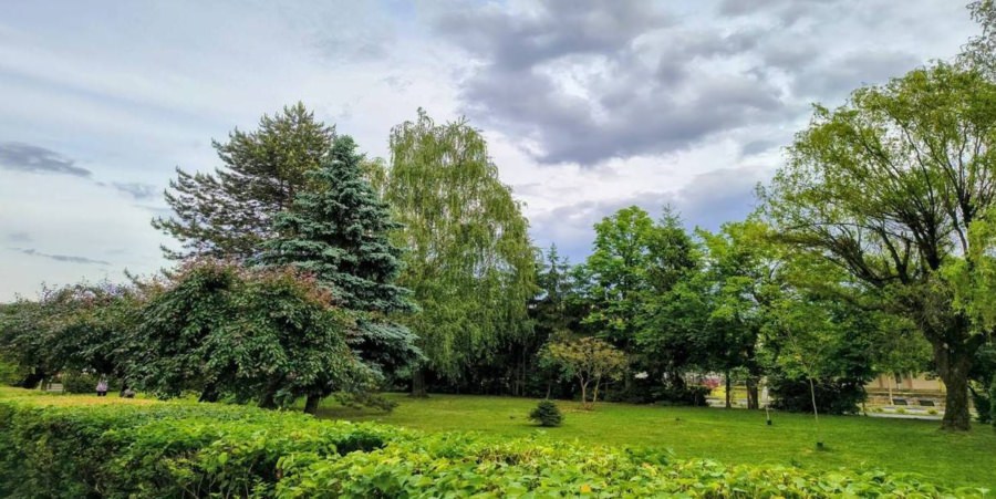 Prognoza meteo Maramureș, marți 19 mai 2026