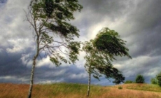 Informare meteorologică și o atenționare de Cod Galben privind intensificări ale vântului și episoade de instabilitate atmosferică
