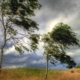 Informare meteorologică și o atenționare de Cod Galben privind intensificări ale vântului și episoade de instabilitate atmosferică