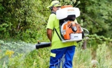 Baia Mare începe dezinsecția împotriva țânțarilor și căpușelor