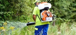 Baia Mare începe dezinsecția împotriva țânțarilor și căpușelor