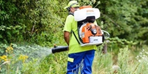 Baia Mare începe dezinsecția împotriva țânțarilor și căpușelor