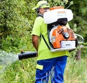 Baia Mare începe dezinsecția împotriva țânțarilor și căpușelor