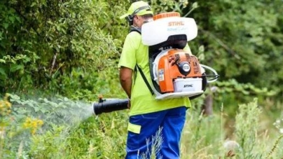 Baia Mare începe dezinsecția împotriva țânțarilor și căpușelor