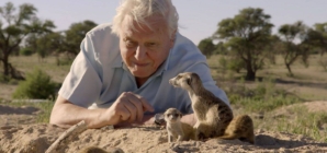 Sir David Attenborough, împlinește astăzi 100 de ani