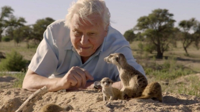 Sir David Attenborough, împlinește astăzi 100 de ani