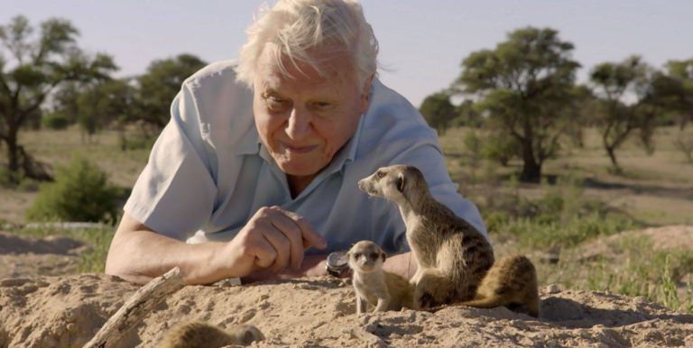 Sir David Attenborough, împlinește astăzi 100 de ani