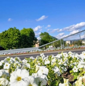 Prognoza meteo Maramureș, vineri 15 mai 2026