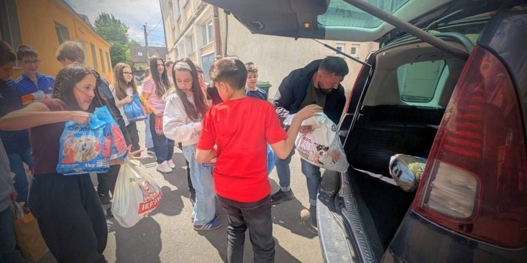 Exemplu de solidaritate: elevii și profesorii sprijină o cauză nobilă