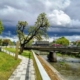 Prognoza meteo Maramureș, sâmbătă 16 mai 2026
