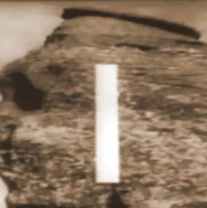 22 mai 1965 : „Teleenciclopedia”, programul care a schimbat cultura TV din România