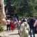 Excursie în Munții Maramureșului pentru tinerii din sistemul de protecție