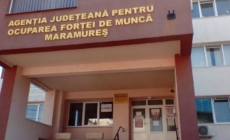 Piața muncii din Maramureș: peste 5.000 de șomeri