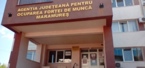 Piața muncii din Maramureș: peste 5.000 de șomeri