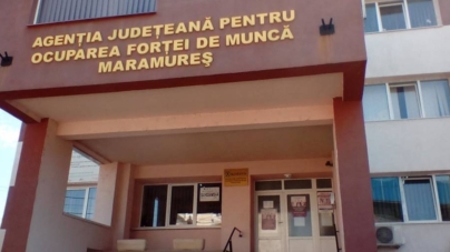 Piața muncii din Maramureș: peste 5.000 de șomeri