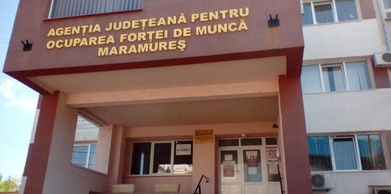 Piața muncii din Maramureș: peste 5.000 de șomeri