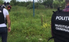 Descoperire macabră în Maramureș: au fost găsite rămășițe umane pe un câmp din Pribilești