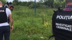Descoperire macabră în Maramureș: au fost găsite rămășițe umane pe un câmp din Pribilești