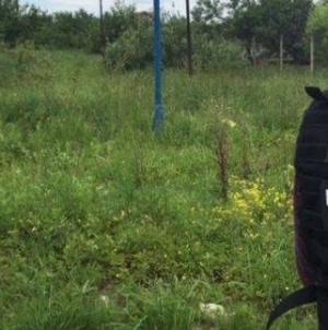 Descoperire macabră în Maramureș: au fost găsite rămășițe umane pe un câmp din Pribilești
