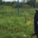 Descoperire macabră în Maramureș: au fost găsite rămășițe umane pe un câmp din Pribilești