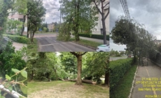 Apel al autorităților din Baia Mare: atenție la copacii doborâți de vânt!