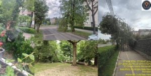 Apel al autorităților din Baia Mare: atenție la copacii doborâți de vânt!