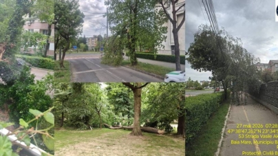 Apel al autorităților din Baia Mare: atenție la copacii doborâți de vânt!