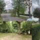 Apel al autorităților din Baia Mare: atenție la copacii doborâți de vânt!