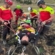 Bărbat accidentat în timpul unei curse de motocross, salvat de Salvamont Maramureș