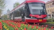 Transport public la prețul de 1 leu / 24 ore