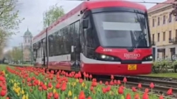 Transport public la prețul de 1 leu / 24 ore