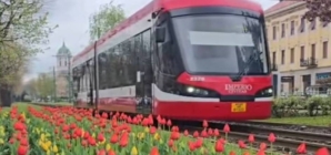 Transport public la prețul de 1 leu / 24 ore