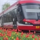 Transport public la prețul de 1 leu / 24 ore